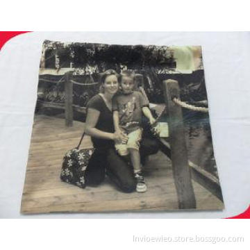 16*16 cm Picture Brushed Polyester Personalized Pillow Case